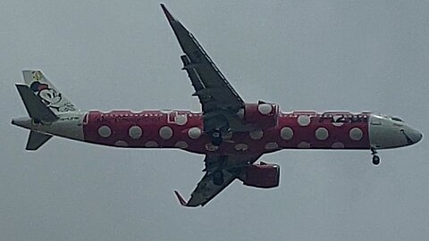 Airbus A321NEO PR-YJF Minnie Mouse coming from Campinas to Fortaleza