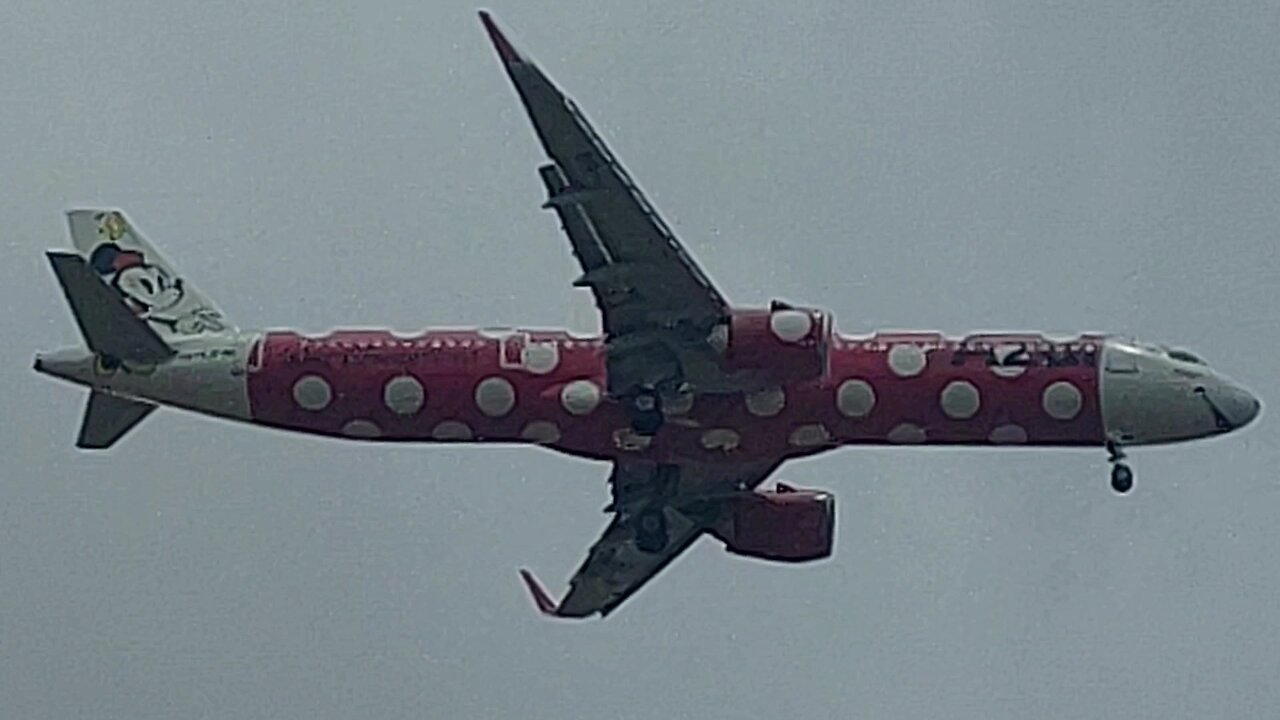 Airbus A321NEO PR-YJF Minnie Mouse coming from Campinas to Fortaleza