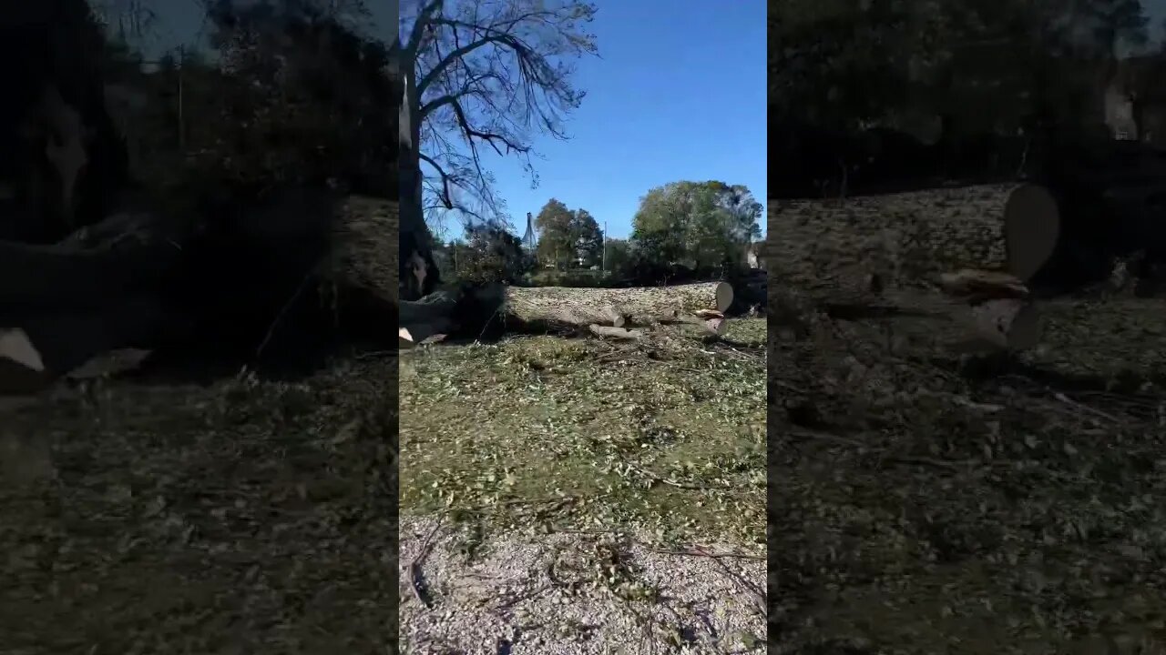 Many Hours with a Chainsaw