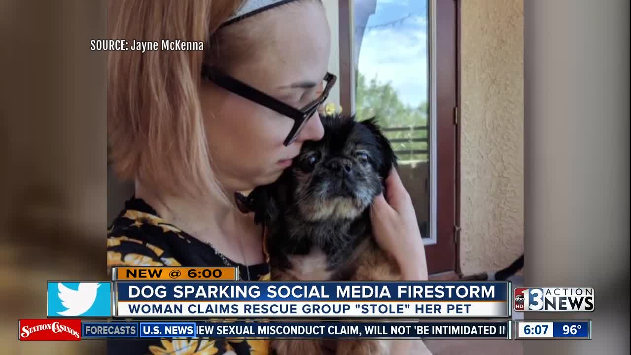 Woman claims dog rescue group 'stole' her pet