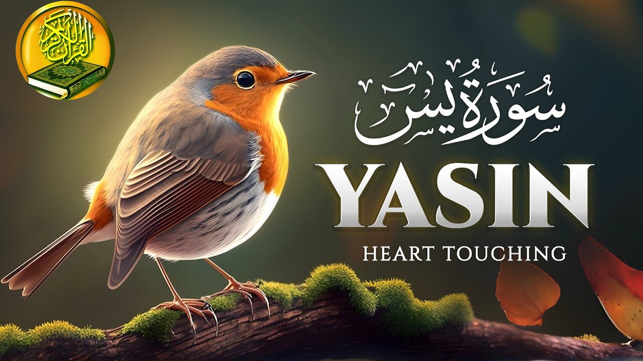 Surah Yasin (Yaseen) سورة يس |Ultimate Relaxing recitation