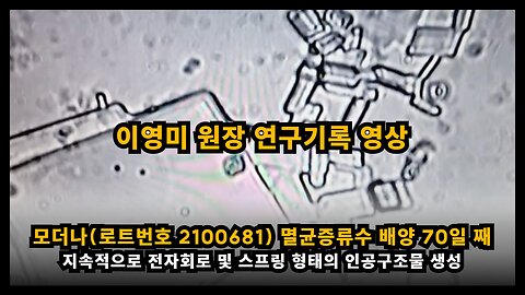 이영미 원장 연구기록 : 모더나(로트번호 2100681) 멸균증류수 배양 70일(24. 08. 31) 째