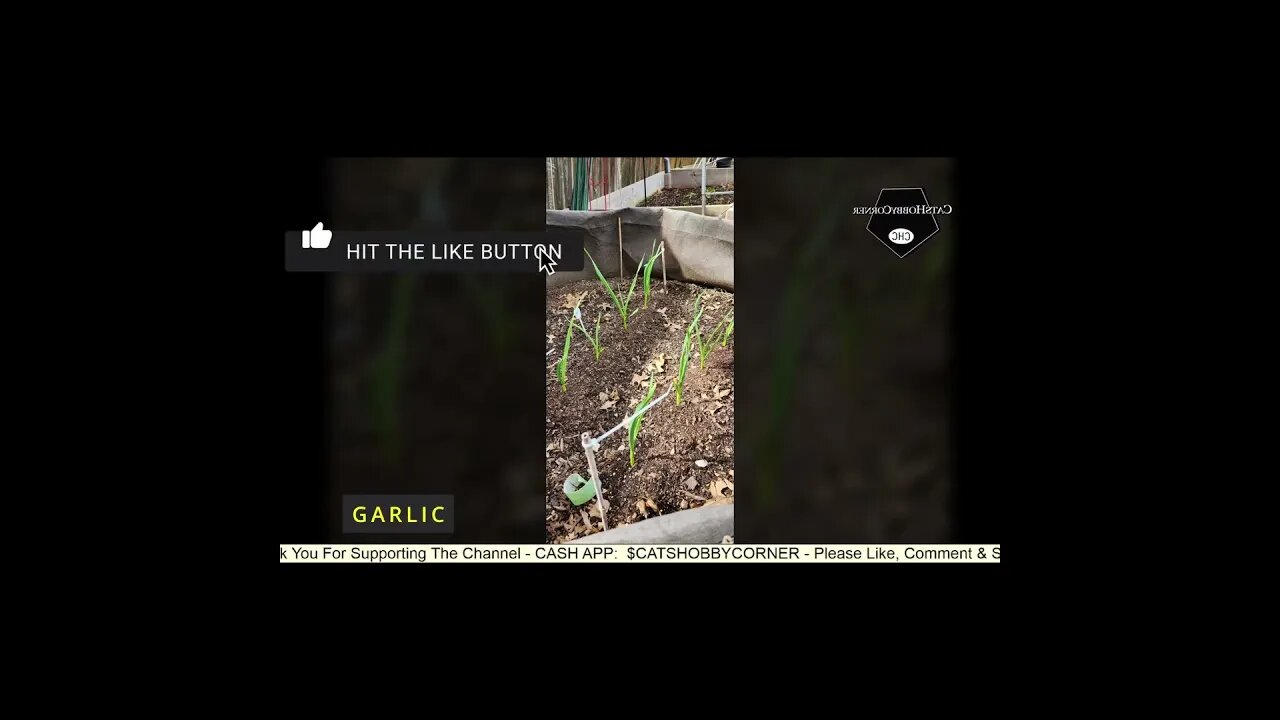 #springgardening #blossoms Slides - #catshobbycorner