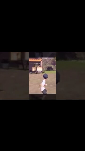 Cyndaquil Used Quick Attack! Pokémon Legends: Arceus