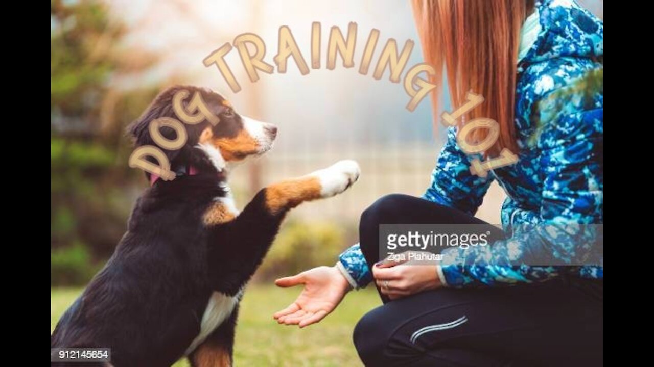 DOG TRAINING FUNDAMENTALS: LESSON 1