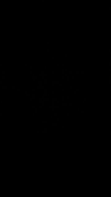 God Bless America 🇺🇸