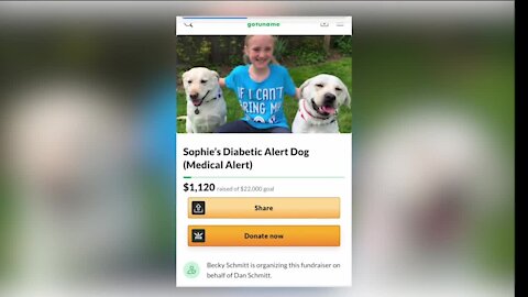 I-Team: Diabetic child who raised $20K for untrained service dog gets new puppy and starts over