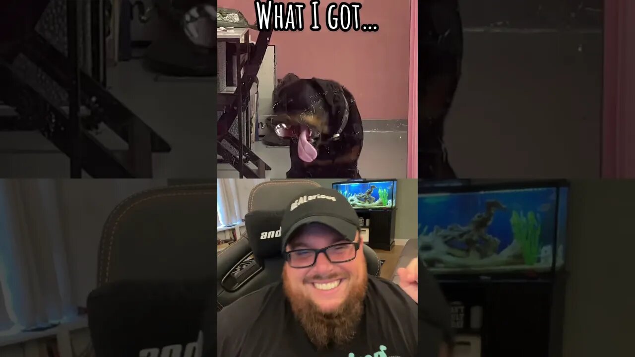 Here’s Your Dose of REALarious…🤣🤣🤣 #duet #funnycomedy #makeyoulaugh #funny #comedyfilms #comedy