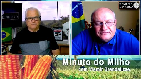 Milho continua comprando mesmo com feriadão