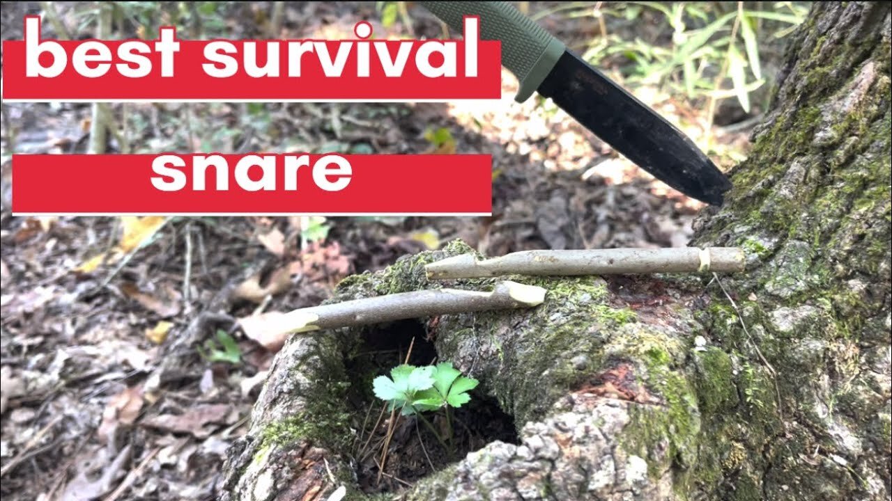 best survival snare