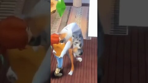 Excuse Me Sir, Your Dog Is Broken