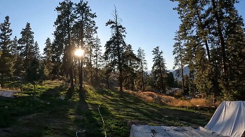 Morning Homestead Chores POV