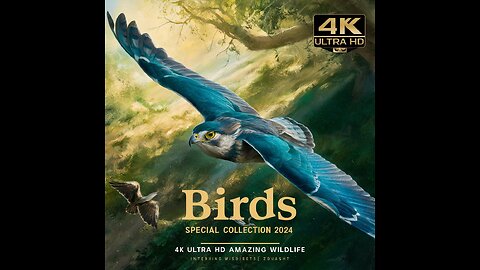 Birds Special Collection 2024| Birds 4k Ultra HD Amazing wild life|#princeofgod