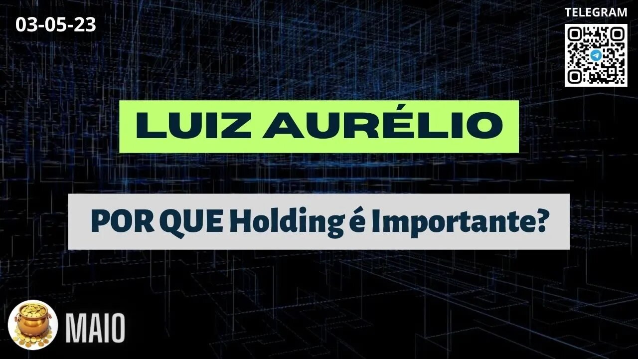 LUIZ AURÉLIO POR QUE Holding é Importante