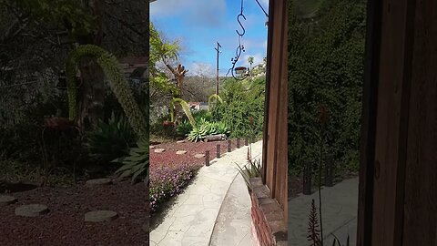 WARNING! TO ALL NURSES NOT JABBED CHOOSING TO RETURN TO WORK!