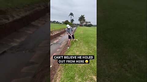 Talk about a hole in one 😂 #shorts #golf