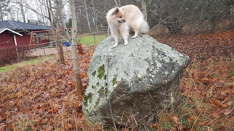 Är jag en bättre sadist än de som gillar att plåga barn? Hammaren är på väg att träffa städet. +Skoj