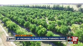 University of Florida changing how it does business to protect Florida blueberry growers