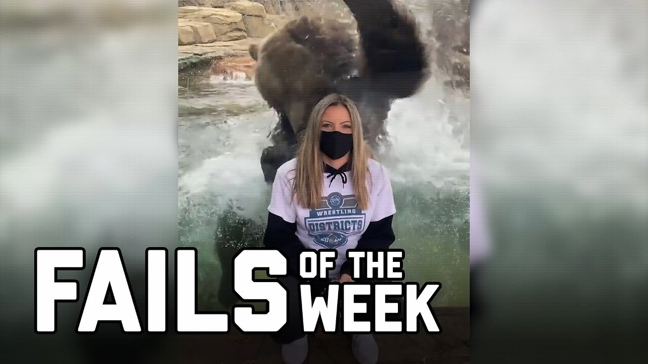 Bear With Me: Fails of the Week (January 2021)