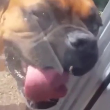 5 Clever Tips for Cleaning Glass