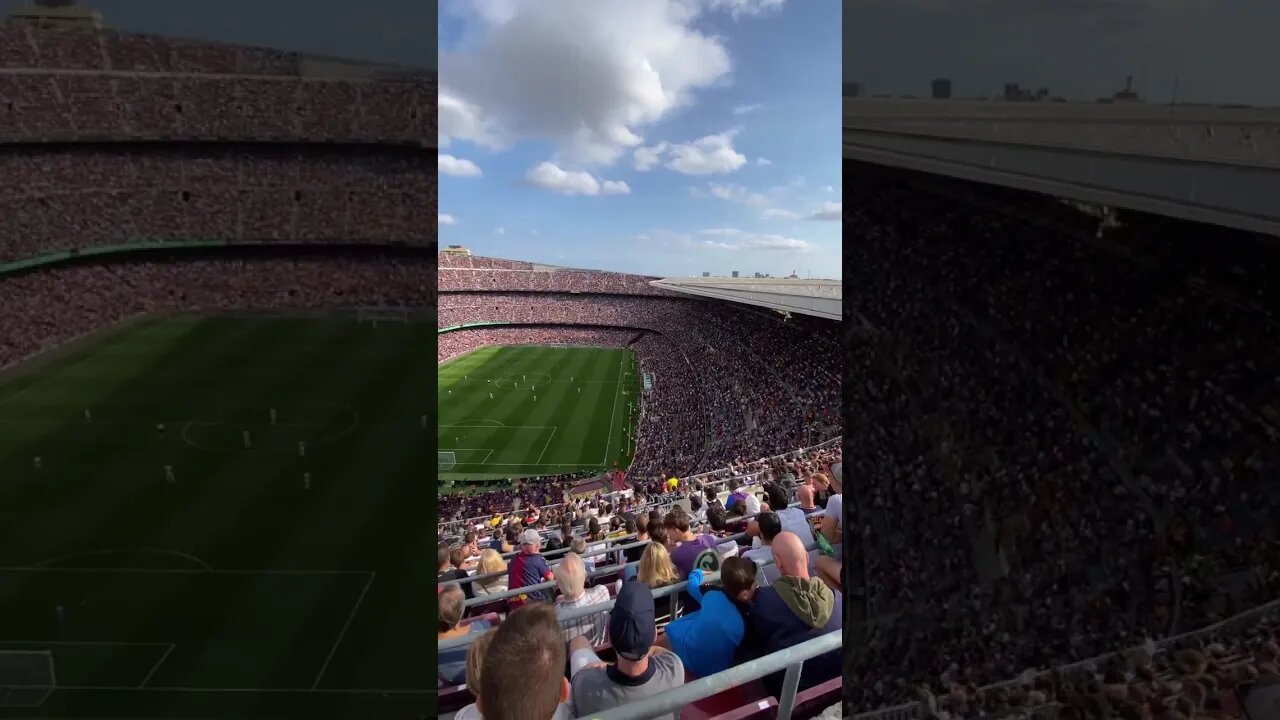 qatar fifa crowd