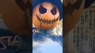Halloween baby #halloween #gatlinburgtennesse #anakeesta