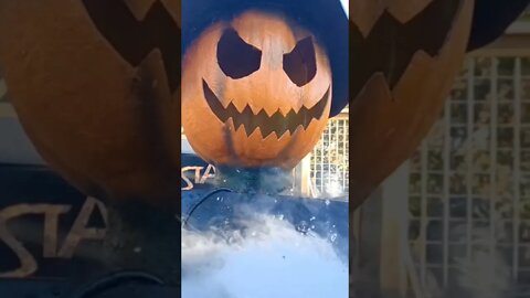 Halloween baby #halloween #gatlinburgtennesse #anakeesta