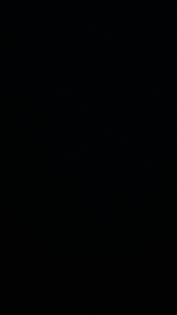 Entrepreneurial spirit