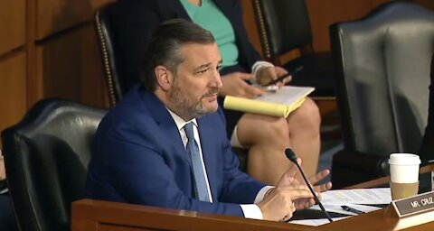 Ted Cruz Grills Stacey Abrams as She Continues to Claim 2018 Election Was Stolen From Her