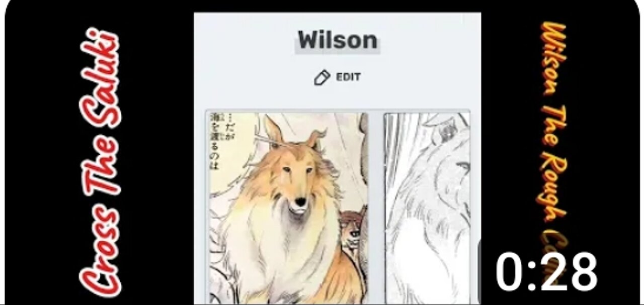 Cross ✝️, and Wilson from the Ginga series.