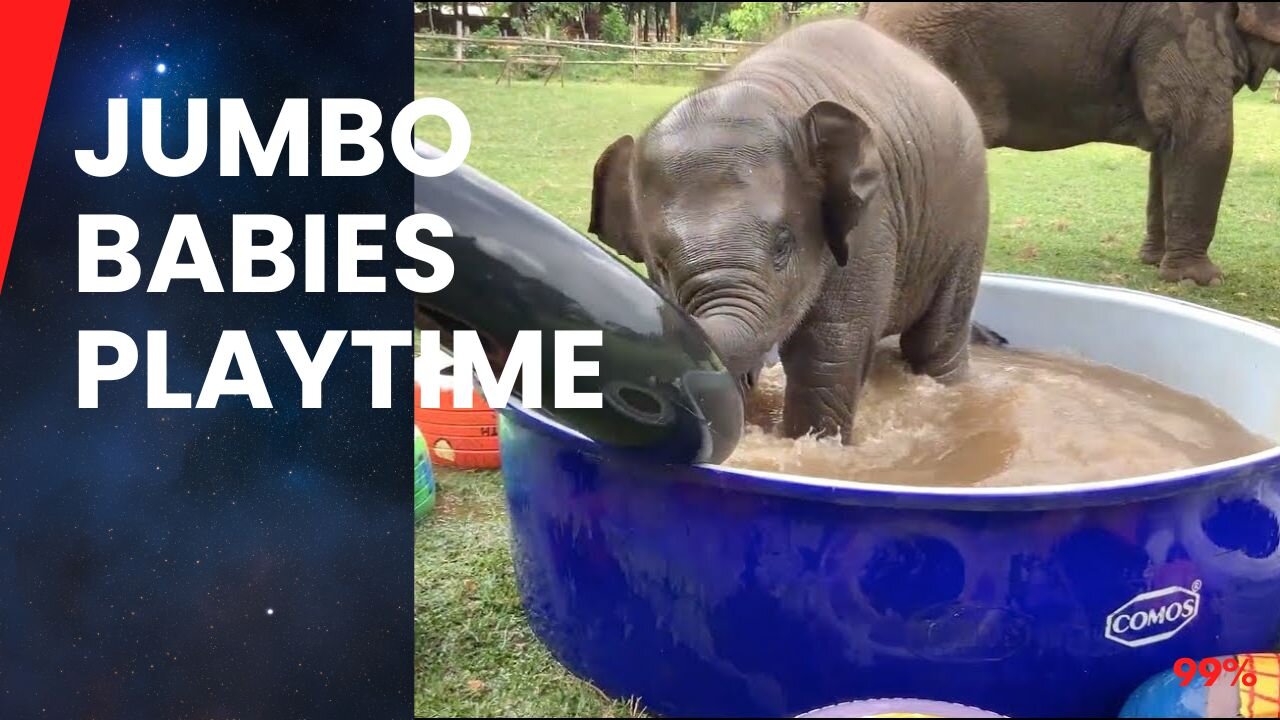 Baby Elephants Unleashed: Cutest Moments Ever!