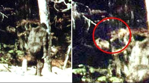 Someone Has Just Noticed A Hidden Detail In This Old Footage That Went Undetected For Decades