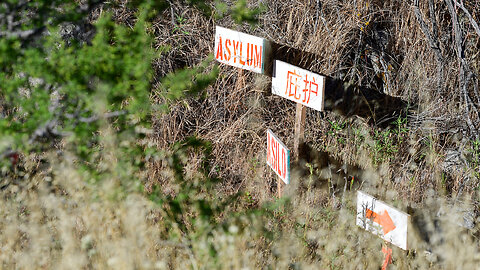 Signs In Chinese On Border Direct Unlawful Migrants, Try To Evade Border Patrol: NGOs Helping