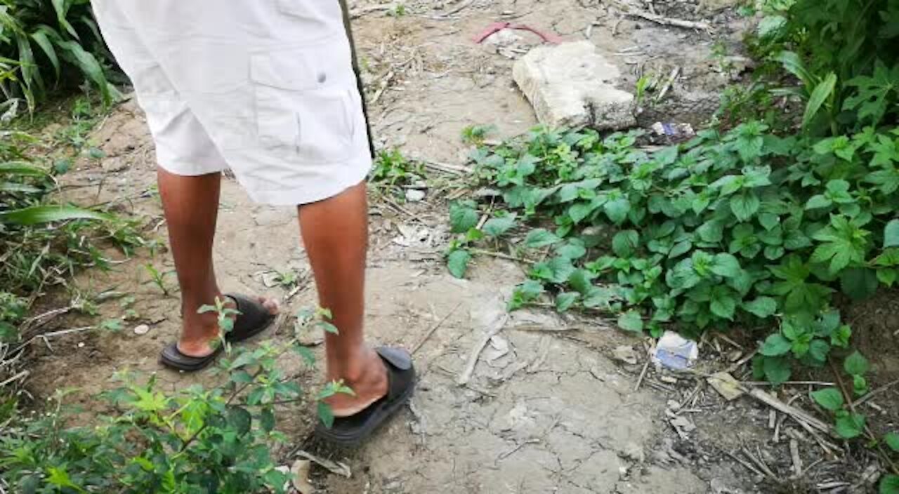 SOUTH AFRICA - Durban - Oil leaks into river (VIdeos) (9Dw)