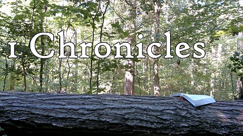 1 Chronicles | The Holy Bible | Old Testament 13/39