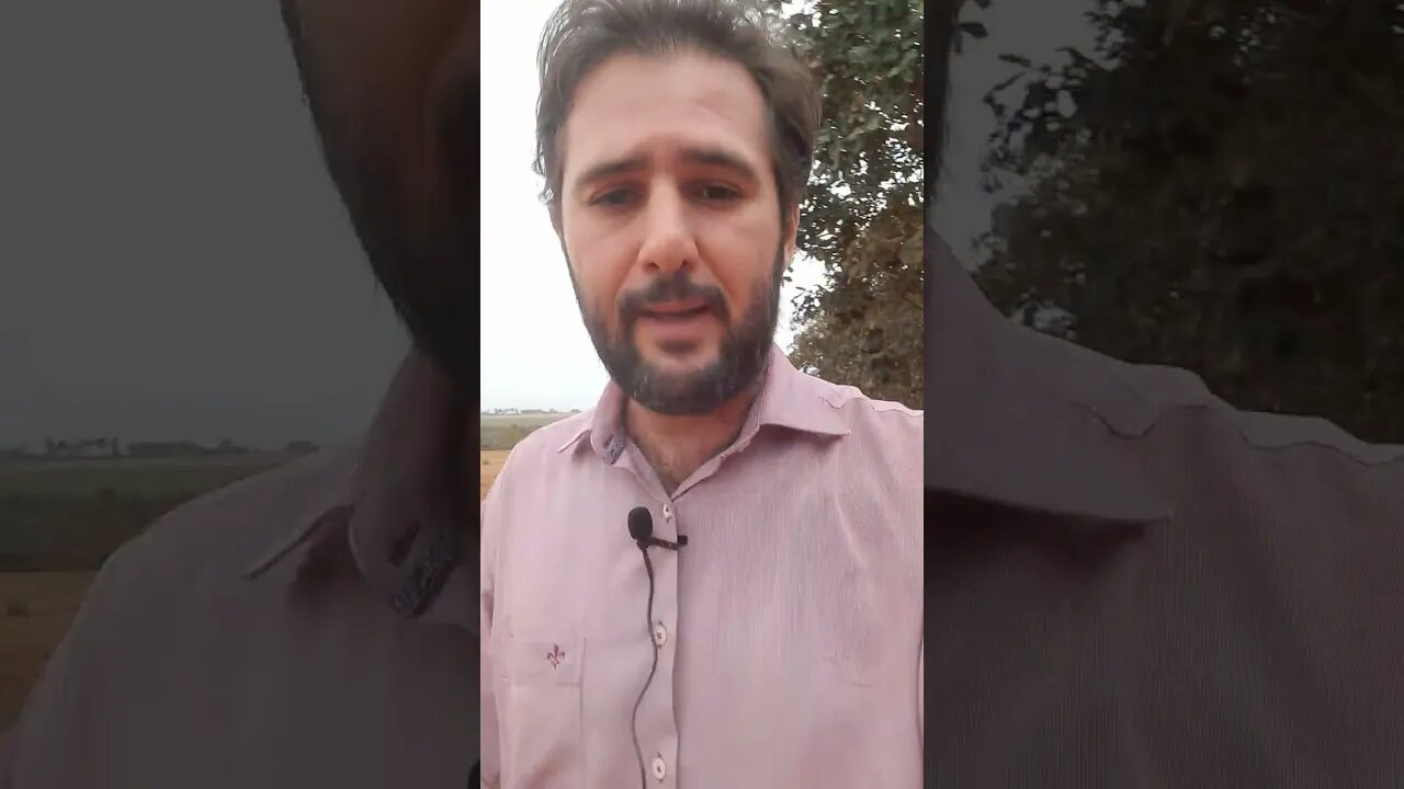 Perito precisa de certificado digital?