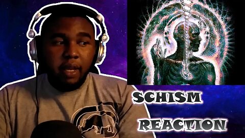 Tool- Schism Reaction