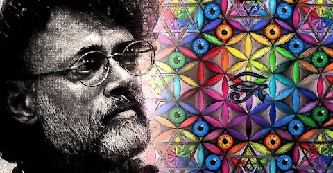 Terence Mckenna -The world is magical place