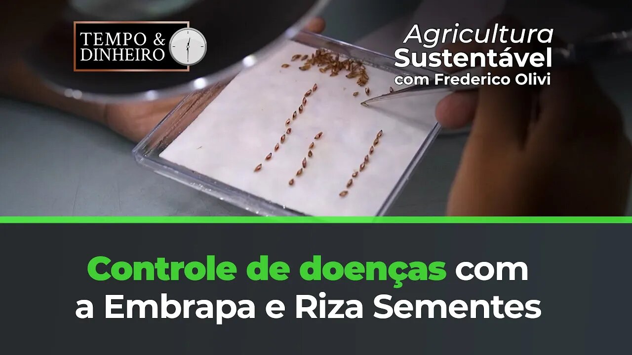 Controle de doenças com a Embrapa e Riza Sementes