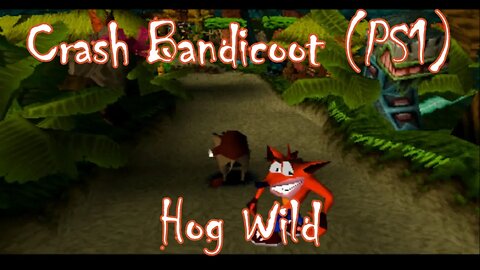 Crash Bandicoot: Hog Wild