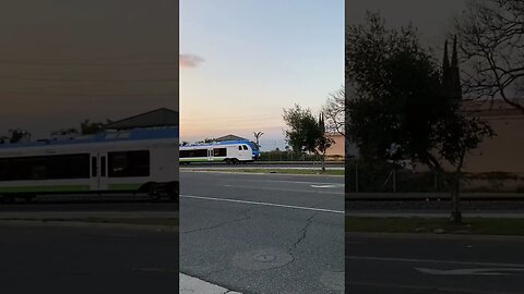 Did You Catch The Train?