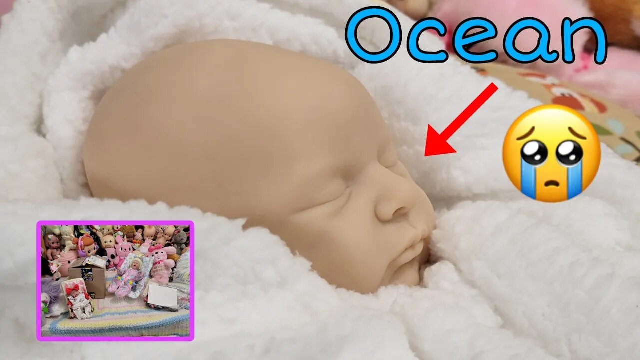 What Happened to Ocean? Box Opening for Mini Reborn Babies| Dressing Silicone Babies| nlovewith...