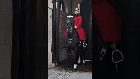 Horse slips guard stays on #horseguardsparade