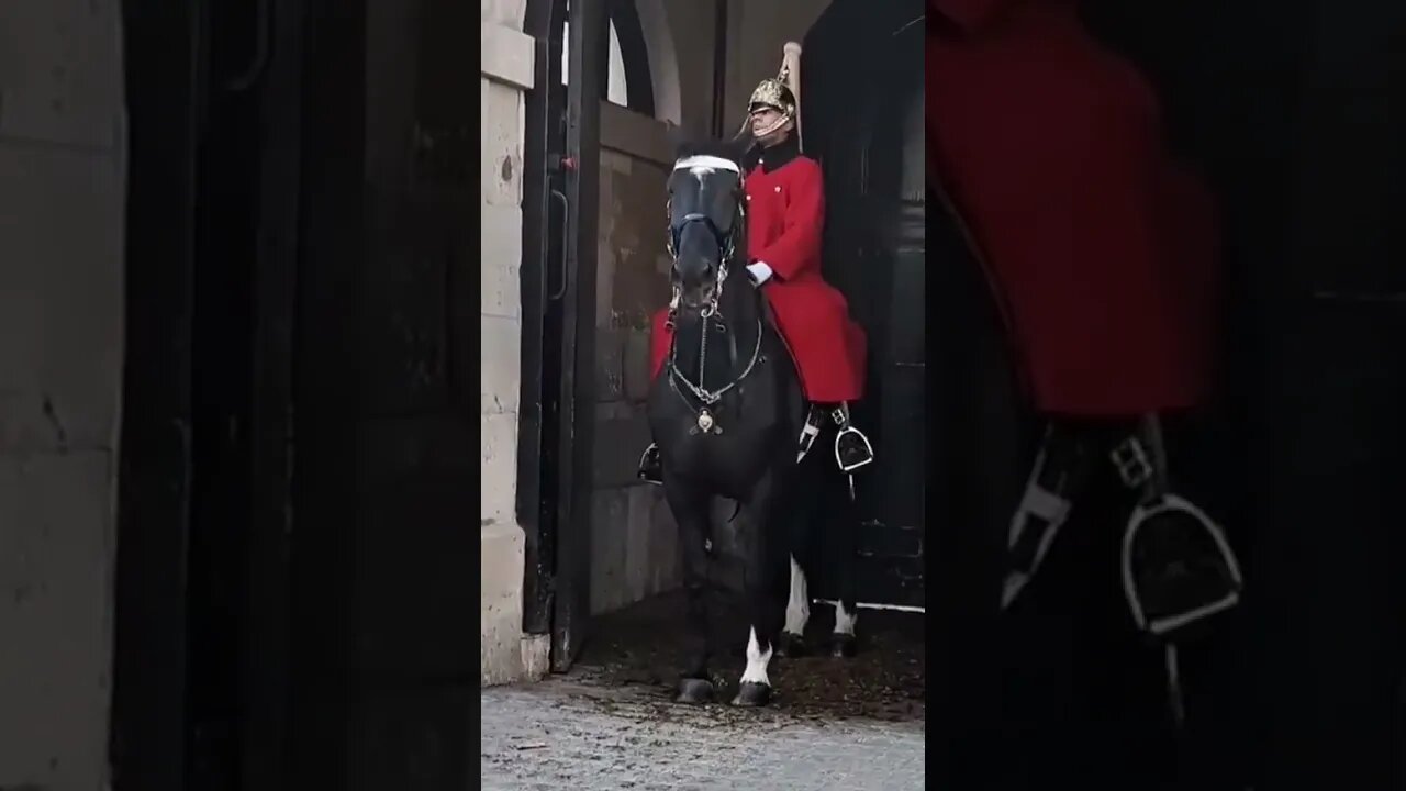 Horse slips guard stays on #horseguardsparade