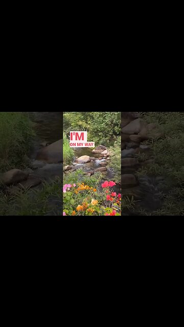 Road Opener #youtubeshorts