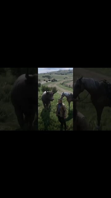 Touro traiçoeiro - RDR2