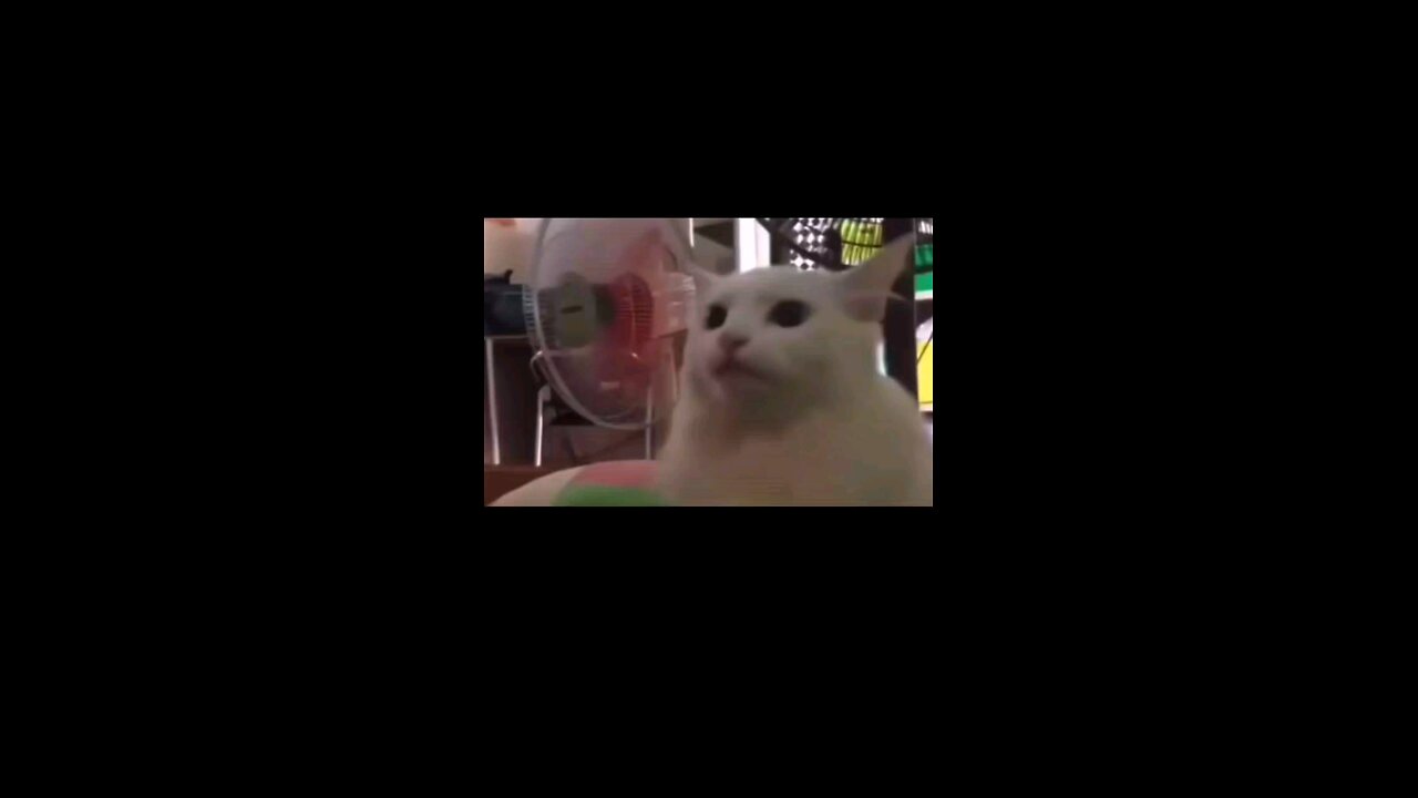 🥰🥰