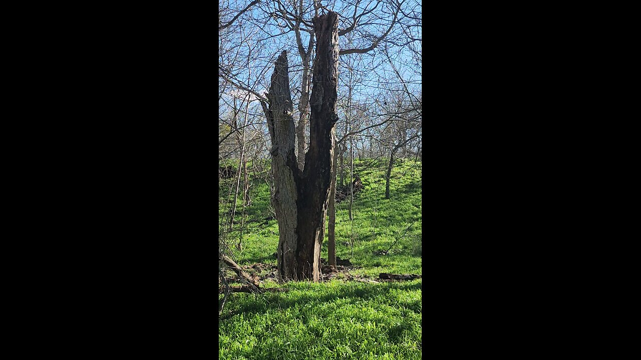 Hiking the trail