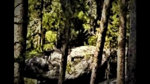 World Bigfoot Radio ~ SASQUATCH at the SUPER-X