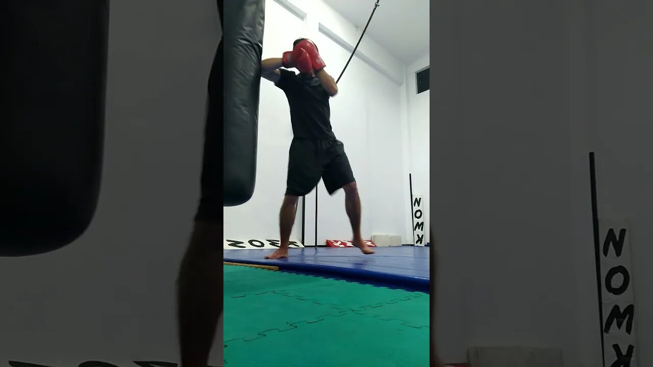 Kick, punch, Elbow and Knee The Bag (27)